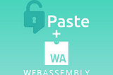 Replacing Javascript with Webassembly on Paste.me | RS Labs