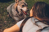 Clues to better understand your dog