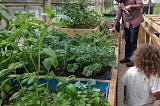 What is Permaculture, Anyway?