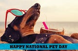 National Pet Day - Top 10 best selling designs