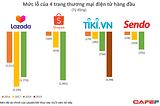 The revenue stream of the e-commerce platform - The reason for bearing a huge loss