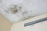 Does Sunlight Kill Mold? The Truth About UV Rays and Mold Growth