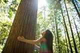 NATURE’S BREAKING POINT: HOW OUR DIETS ARE DEVOURING THE PLANET