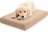 Best Orthopedic bed for dogs