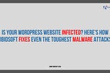 Is Your WordPress Website Infected? Here’s How Vibidsoft Fixes Even the Toughest Malware Attacks
