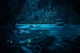 A nighttime scene of a shallow river with trees on the banks