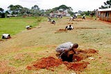 GGW (Great Green Wall) in Nigeria