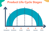 Product Life Cycle