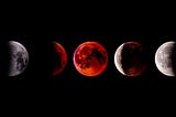 The Moon Turns Red During A Total Lunar Eclipse