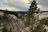 A canyon with red and yellow rock walls stretches out under a sky full of dramatically lit clouds. A bright blue river runs along the bottom. Pine trees cover the rim of the canyon, and there is pine tree in the foreground.