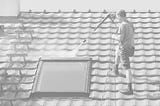 The Importance of Professional Roof Cleaning for Longevity and Aesthetics