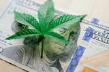 marijuana lay on one hundred dollar