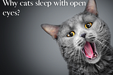 Why a cat sleeps with open eyes?
