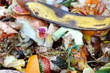 13 WAYS YOU CAN REDUCE FOOD WASTE AT HOME