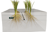 How Agrinoze can help France’s Agriculture