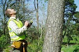 Tips for Starting a Successful Consulting Arborist Near Me Business