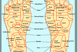 Japanese people explained! [Chapter 1] What is acupuncture?