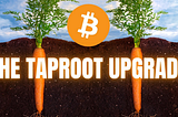 What is Taproot and How will it make BTC Better?