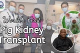 First Human Recipient of Pig Kidney Transplant Has Died | Khan Global Studies Blogs