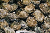 Healthier Oysters, Healthier Chesapeake Bay
