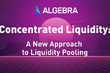 Concentrated Liquidity for Everyone by Algebra