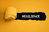 Building Resilience: Lessons from Literature and Wisdom