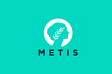 Metis Andromeda Investment Thesis