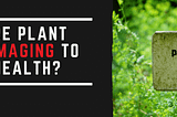 The Hidden Dangers Of Plant Toxins | Fit Awakening