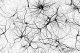 Neural networks — summarized by beginners, for beginners