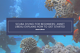 Scuba Diving For Beginners: Annet Libeau Explains How To Get Started — Annet Libeau