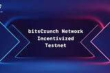 Сеть bitsCrunch. Вознаграждаемый тестнет.