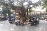 Under The Shade of Banyan Tree