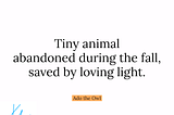 Tiny animal \\ abandoned during the fall, \\ saved by loving light. — Ado the Owl HAIKUPRAJNA