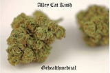 Alley Cat Kush Marijuana Strain Information