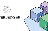 How To Take a Backup For Your Hyperledger Fabric Network