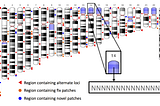 The human reference genome hg38 in clinical diagnostics