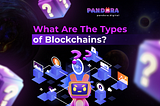 What Are The Types of Blockchains?