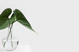 Designing a Digital Product? Feng Shui Might Offer Surprising Insights