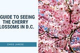 A Guide to Seeing the Cherry Blossoms in D.C. | Chris Janese | Travel