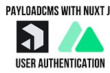 Payload CMS -Authentication in Nuxt Using a Custom Plugin