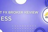 Exness CFDs trading: a comprehensive review of markets, platforms, accounts, features, and more