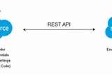 Integration Between Two Salesforce Orgs using REST API