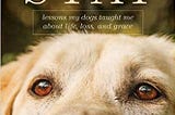READ/DOWNLOAD*@ Stay: Lessons My Dogs Taught Me about Life, Loss, and Grace FULL BOOK PDF & FULL…