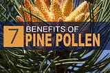 7 Amazing Benefits of Pine Pollen