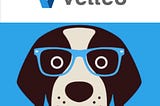 Vetted: Your cure for in-home vet care!
