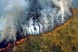 Unique Amazon rainforests and Siberia: why are we all suffering from fires?
