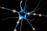 Research Hit: Your Time Travelling Neurons