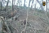 Ukraine Destroys A Train Transporting 100 Armored Vehicles. Ukraine Update. 6/8/2025.