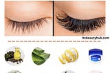 Top 8 Natural Ways to Grow Long & Thick Eyelashes — ItsBeautyHub