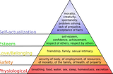 The Hierarchy of Chronic Illness